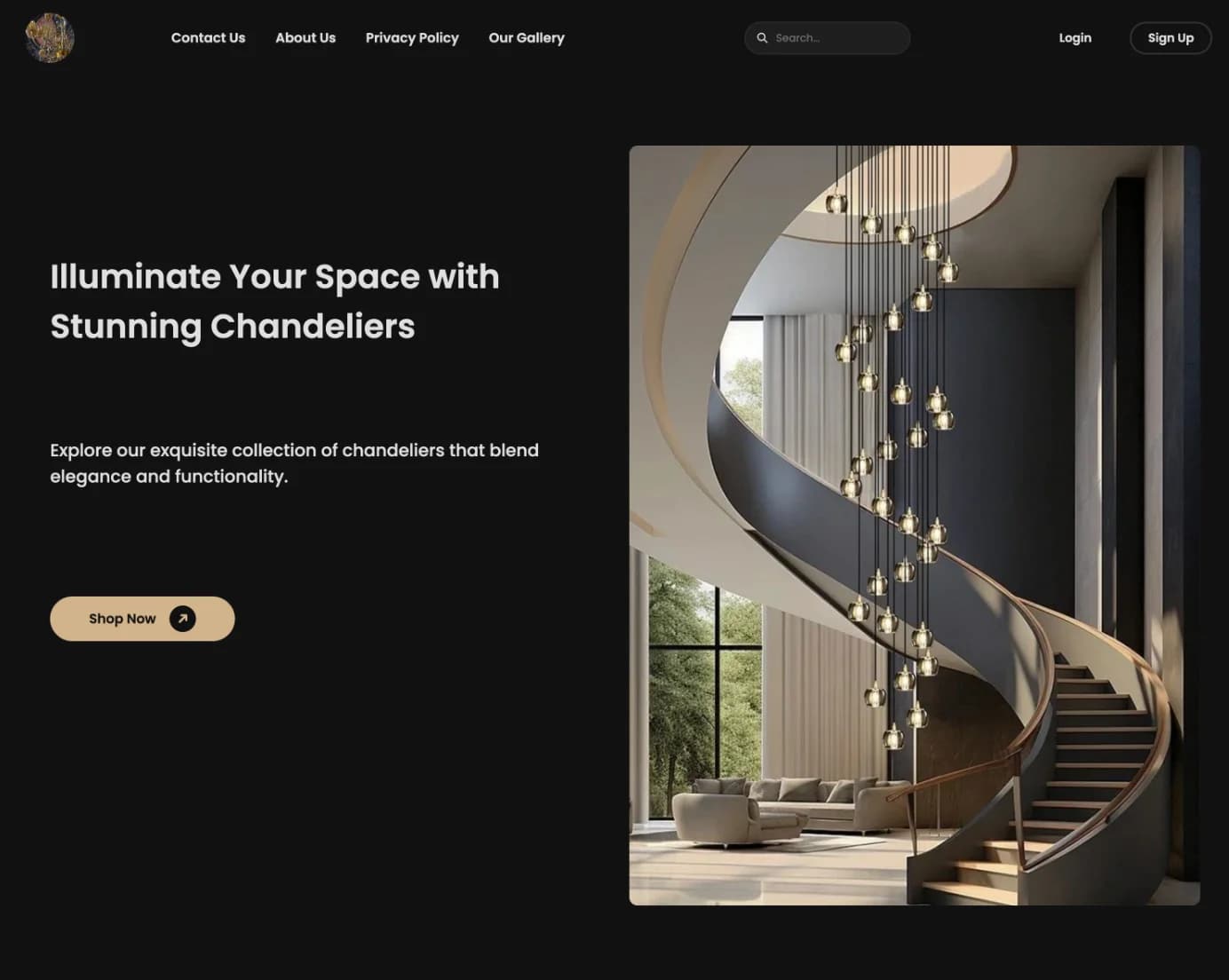 A Dark Storefront for Premium Buyers
