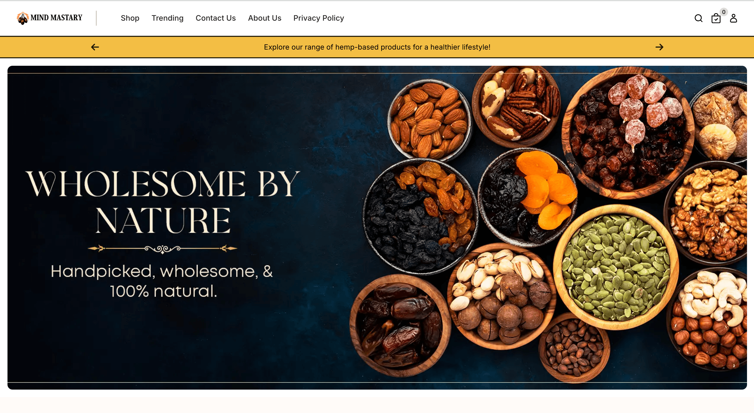 Dry Fruits Business template