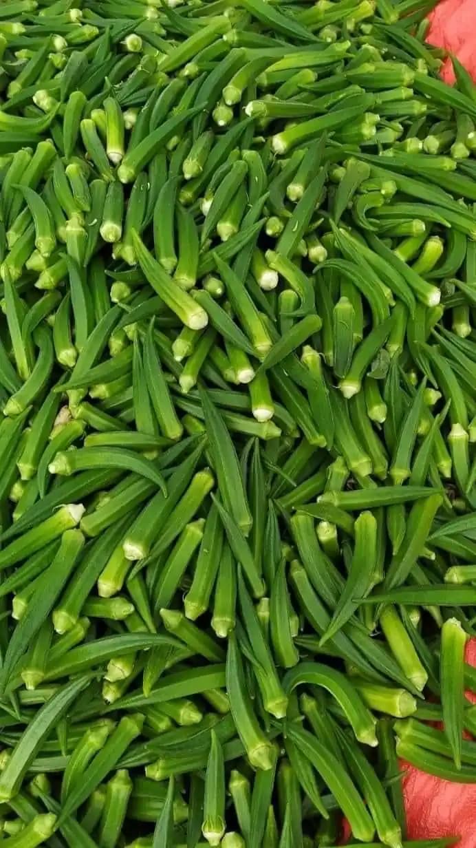 Okra (also called Lady’s Finger)