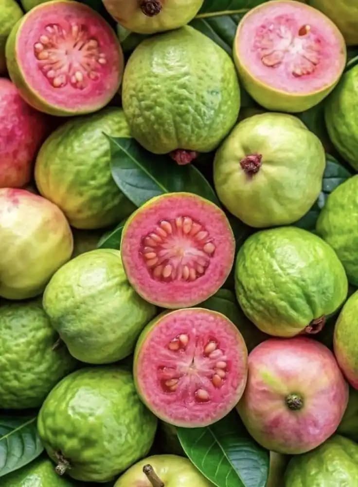 Guava