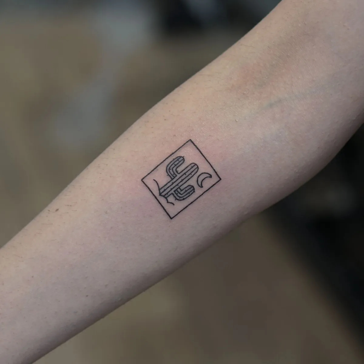 Fine-line cactus · Mara, healed after 5 weeks