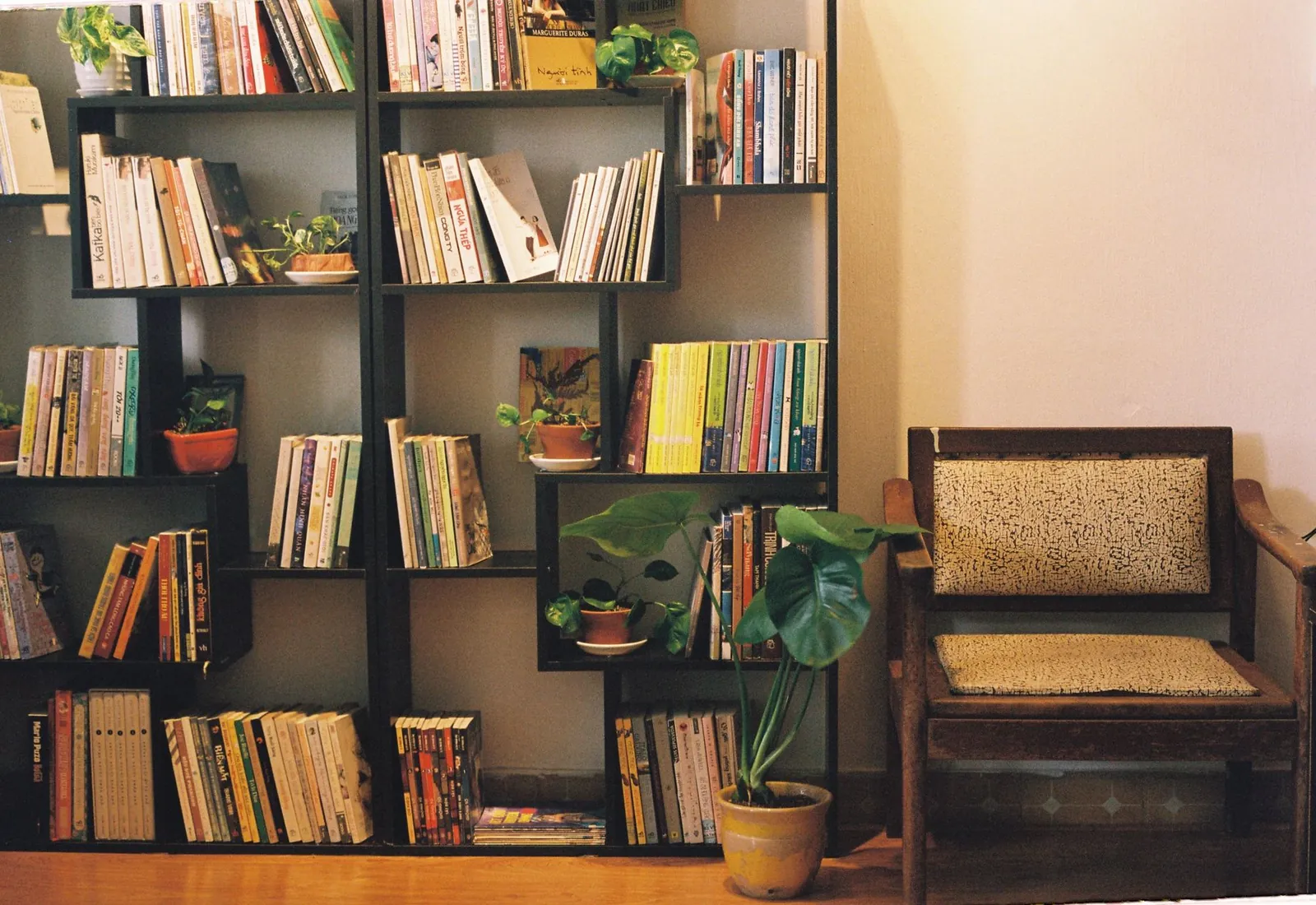 Reading corner with a lounge chair and a walnut bookshelf