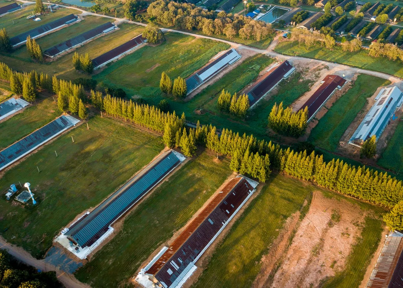 Krishna Valley Farm Cluster photo 1