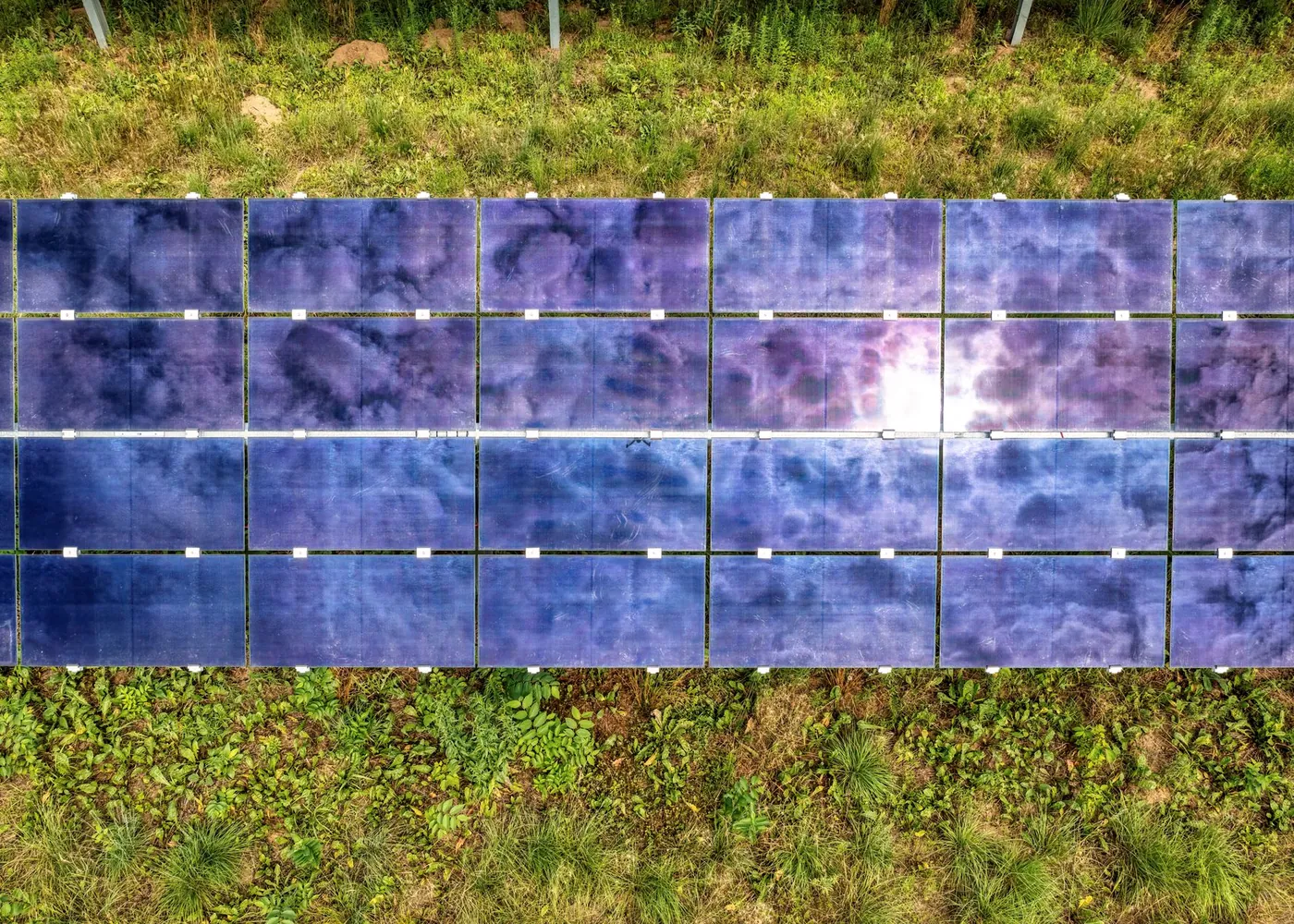 Krishna Valley Farm Cluster photo 3