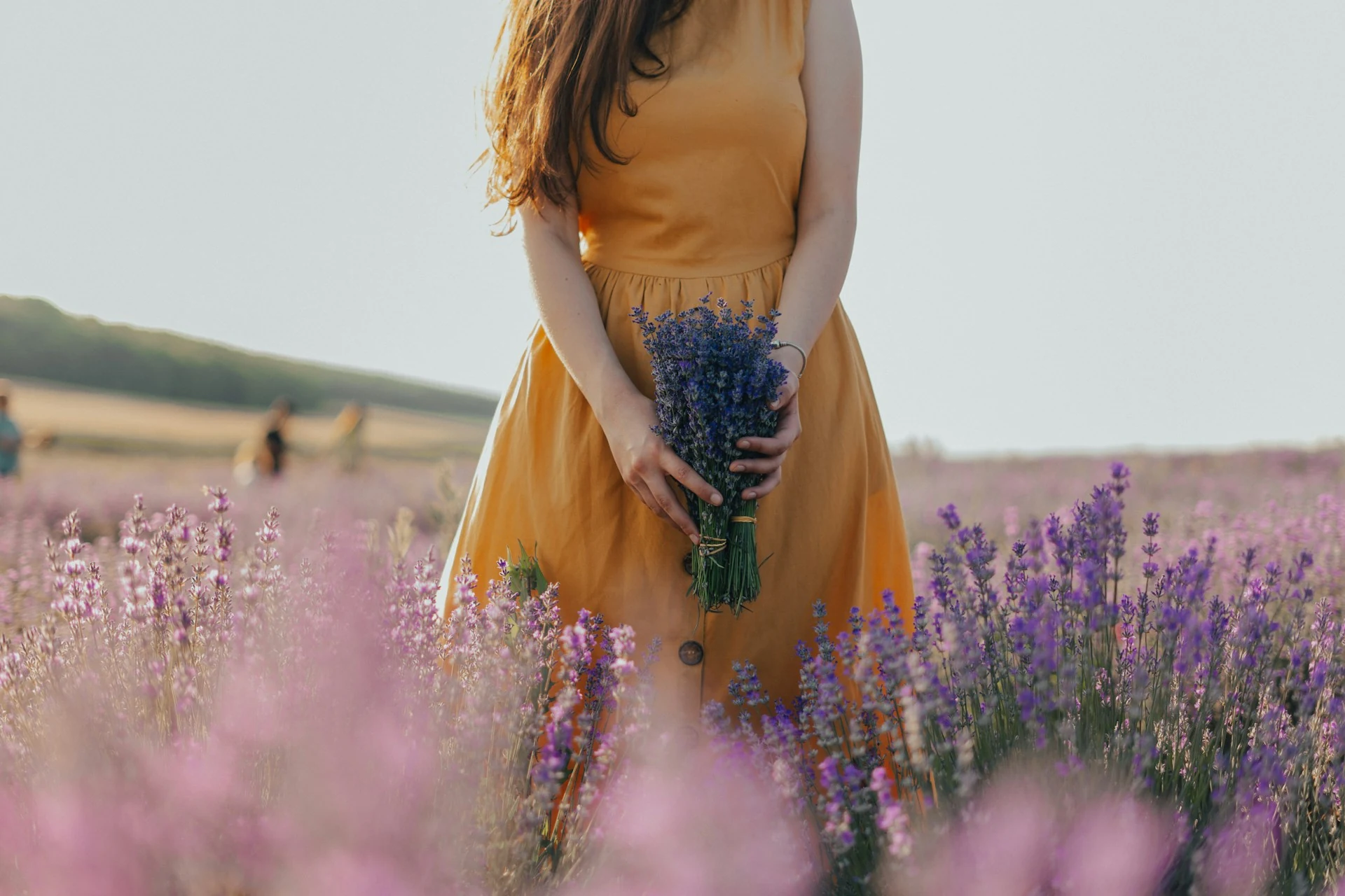 Woman in a lavender field