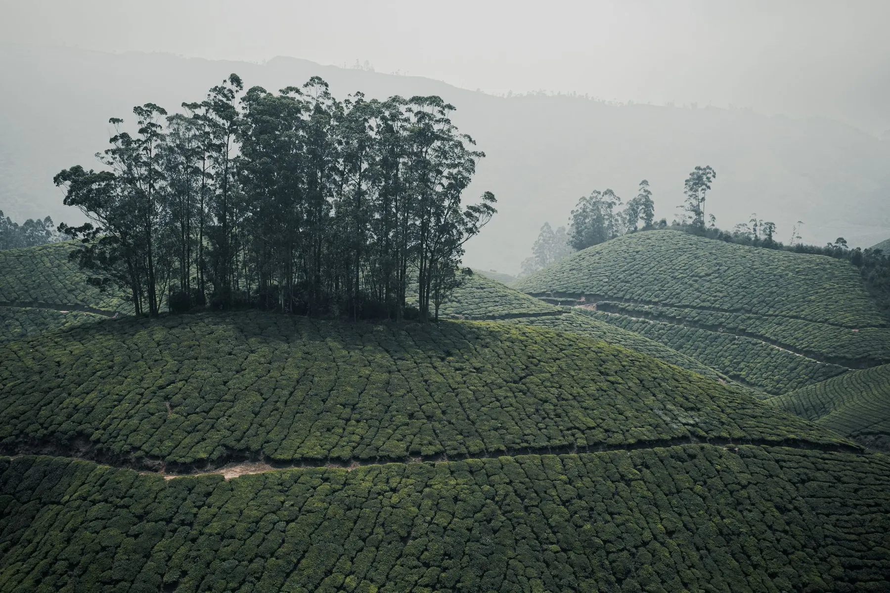 Mist in the valley