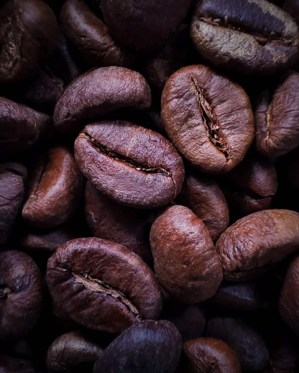 Kōji Coffee — detail 1