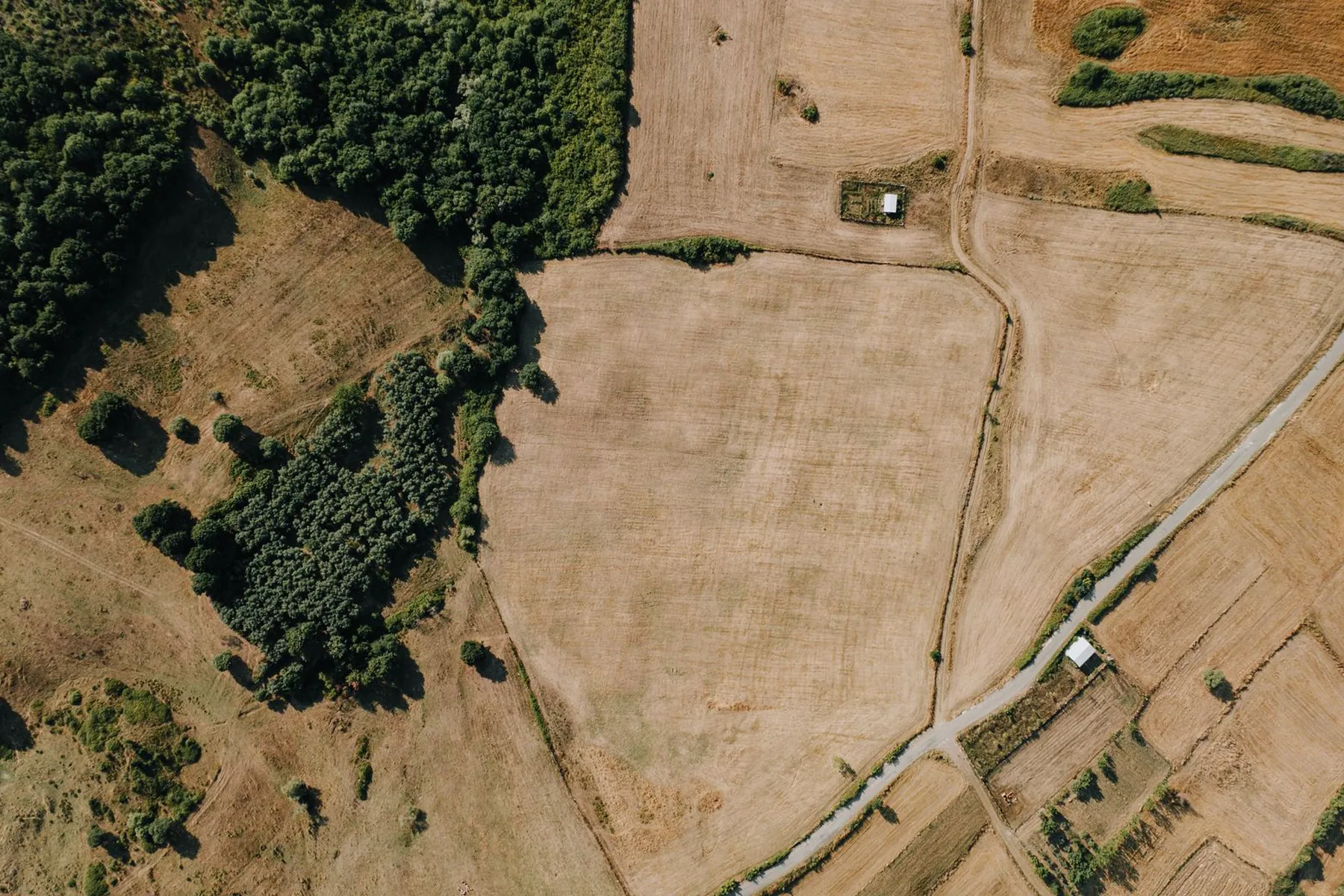 Plot 22, Alder Fields